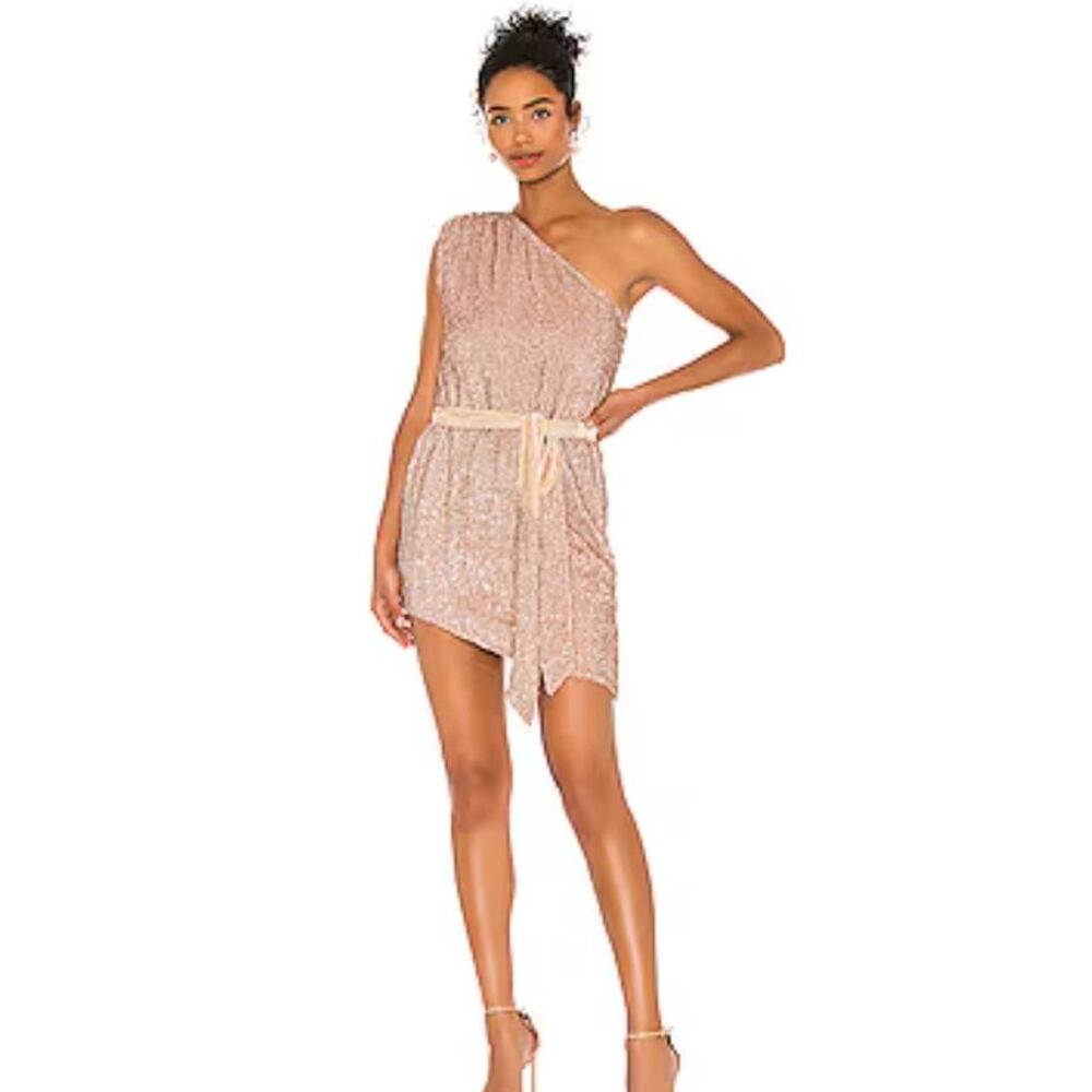 Retrofete Ella Sequin Dress in Rose Gold/Tan Size Medium NWT One Shoulder Belt